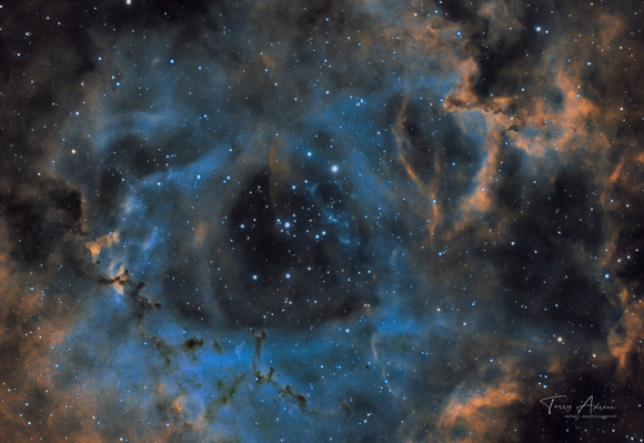 Rosette Nebula Close