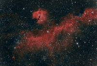 NGC 2327 Seagull Nebula