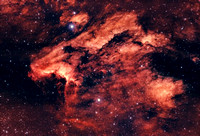 IC 5070 Pelican Nebula
