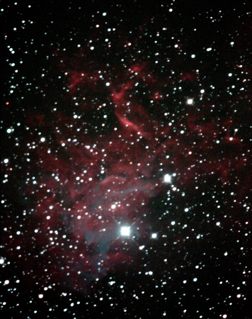 Flaming Star Nebula (#49)