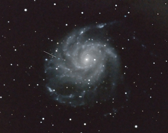 M101 Supernova (#23)