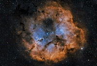 IC 1396, The Elephant Nebula
