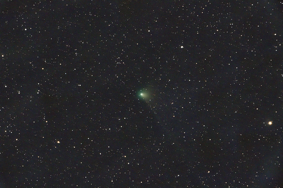 Comet ZTF Jan 6/23