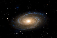 M81