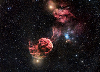 IC 443, the Jellyfish Nebula