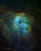 The Tadpole Nebula