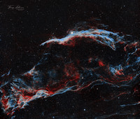 NGC 6960 Veil