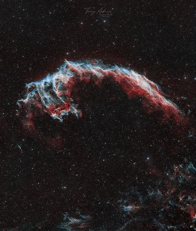The Eastern Veil NGC 6995