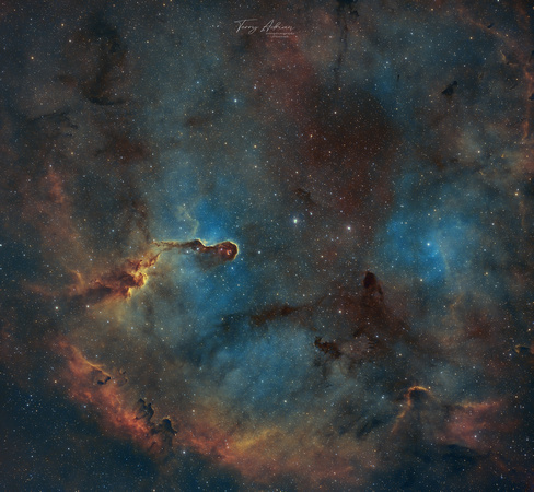 The Elephant Trunk NGC 1396