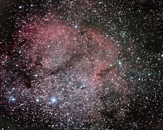 IC1396 in Cepheus (#28)