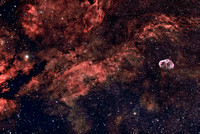 The Stunning region around Sadr and NGC 6888