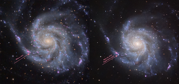 M101 Supernova