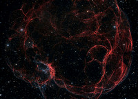 Sh2-240, the Spaghetti Nebula