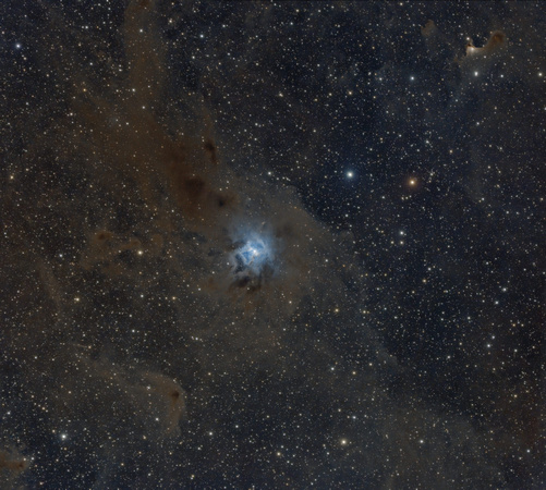 NGC 7023, the Iris Nebula