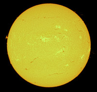 Sun Spout