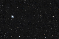 NGC 4395 and Area