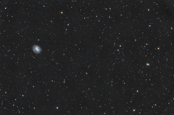 NGC 4395 and Area