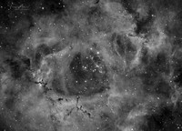 Rosette Nebula Close