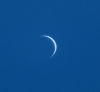 Venus, July 29/23