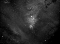 Cone Nebula including NGC 2261