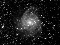 IC 342 The Hidden Galaxy