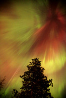 Oct. 10/24 Aurora