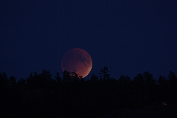 Eclipsed Moon rising (#61)