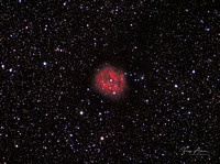 IC 5416 The Cocoon Nebula