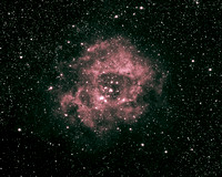 NGC 2237, 2238, 2239, 2244, 2246 The Rosette Nebula