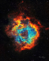 The Rosette Nebula in Rainbow SHO