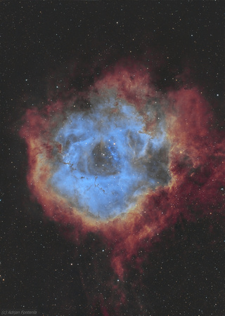 Rosette Nebula