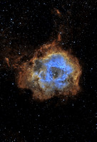 Caldwell 49, the Rosette Nebula
