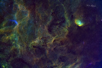 Widefield of Cygnus