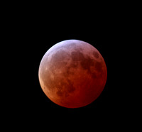 Total Lunar Eclipse Jan. 20, 2019