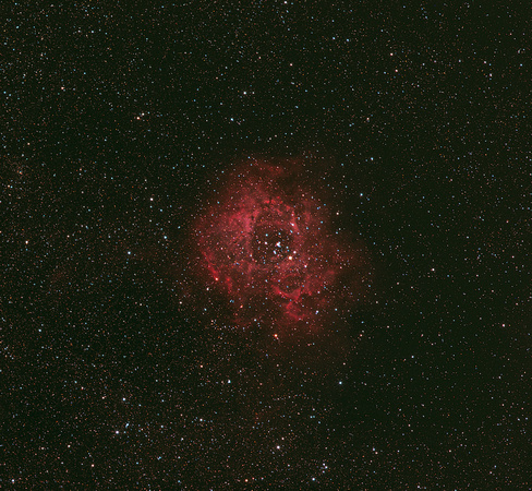 Rosette Nebula  NGC 2239
