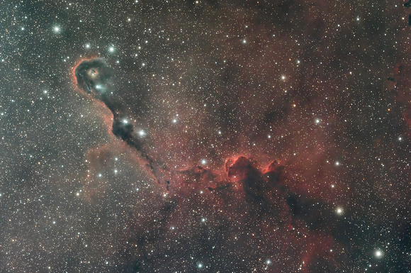 The Elephant Trunk Nebula