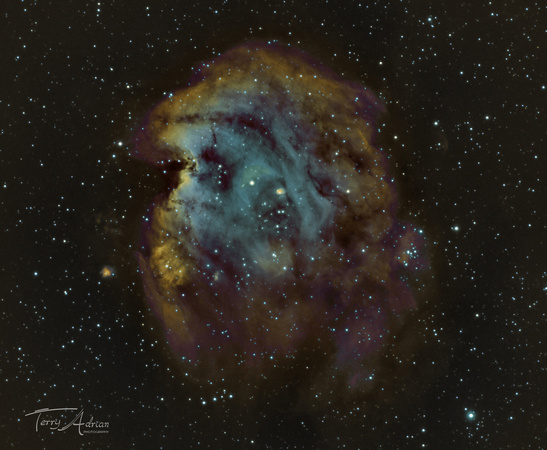 NGC 2174 The Monkey Head Nebula