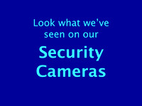 Security camera captures
