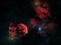 IC 443, the Jellyfish Nebula