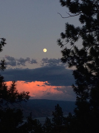 Moon, June 2015