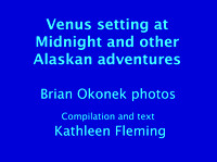 Venus at Midnight