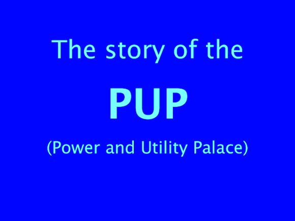PUP title.indd