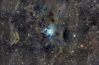 The Iris Nebula