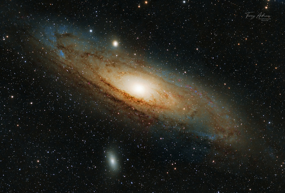 M31