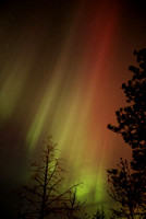 Oct. 10/24 Aurora