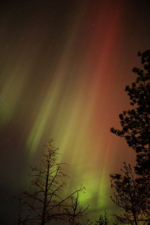 Oct. 10/24 Aurora