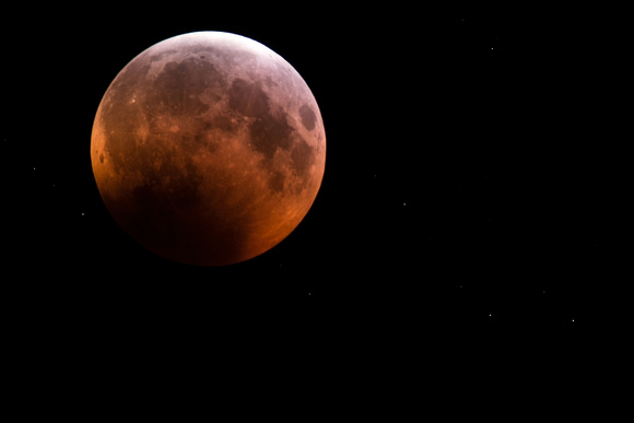 The Many shades of the Bloodmoon