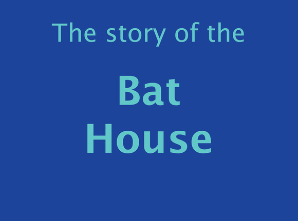 Bat House.indd