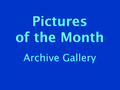 Pictures of the Month Gallery