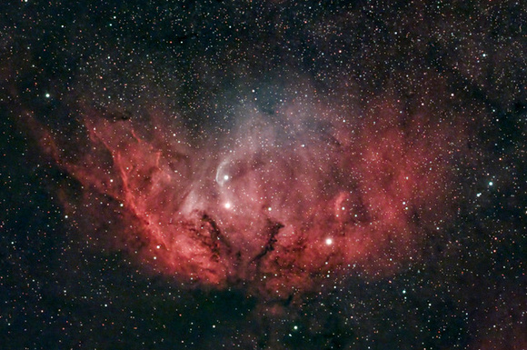 The “Tulip” nebula